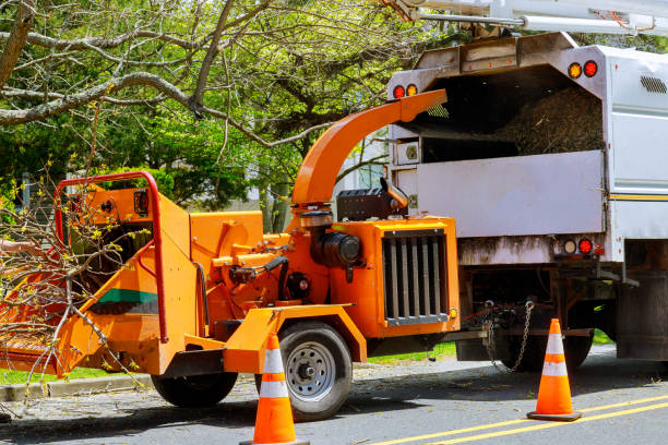 Best Aeration Services  in Great Neck, NY